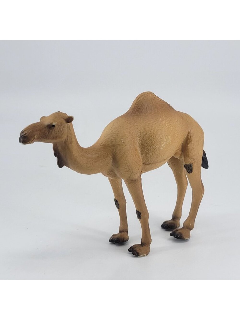 Mojo Arabian Camel Realistic Animal Figure Desert Safari
